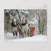 Pferdeentwurf Weihnachten (Vorderseite)