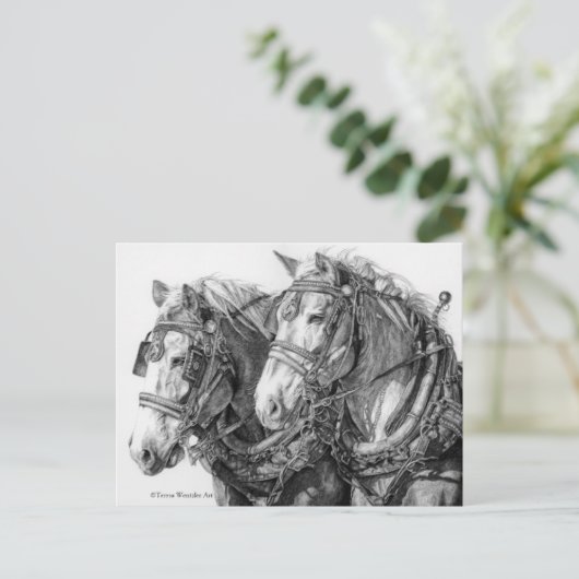 Pferdeentwurf Zeichnend Postkarte (Stehend Vorderseite)