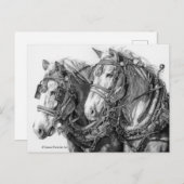 Pferdeentwurf Zeichnend Postkarte (Vorne/Hinten)