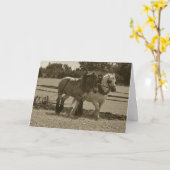 Pferdeentwurf zum Geburtstag Karte (Gelbe Blume)