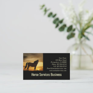 PferdeEquine Services Füttre Tierärztin  Visitenkarte