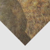 Pferdefachpapier Seidenpapier (Ausschnitt)