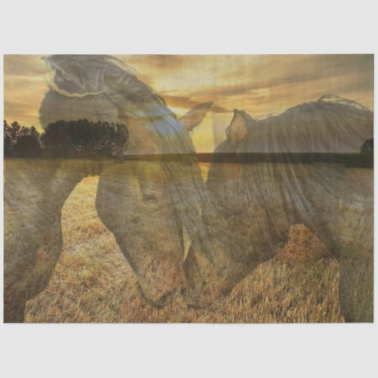 Pferdefachpapier Seidenpapier (Vorderseite)