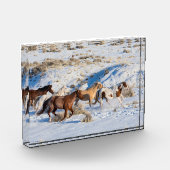 Pferdefahrt im Winter auf der Hideout Ranch Fotoblock (Links)