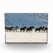 Pferdefahrt im Winter auf der Hideout Ranch Fotoblock (Vorderseite)