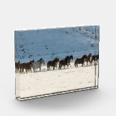 Pferdefahrt im Winter auf der Hideout Ranch Fotoblock (Links)