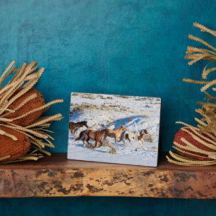 Pferdefahrt im Winter auf der Hideout Ranch Fotoplatte