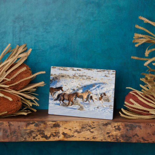 Pferdefahrt im Winter auf der Hideout Ranch Fotoplatte (Seite)