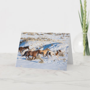 Pferdefahrt im Winter auf der Hideout Ranch Karte