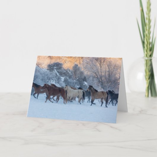 Pferdefahrt im Winter auf der Hideout Ranch Karte (Vorderseite)