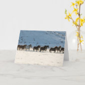 Pferdefahrt im Winter auf der Hideout Ranch Karte (Gelbe Blume)