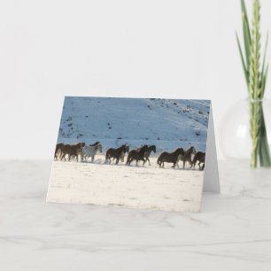 Pferdefahrt im Winter auf der Hideout Ranch Karte