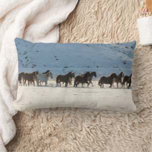 Pferdefahrt im Winter auf der Hideout Ranch Lendenkissen