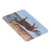 Pferdefahrt im Winter auf der Hideout Ranch Magnet (Rechte Seite)