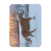 Pferdefahrt im Winter auf der Hideout Ranch Magnet (Vertikal)