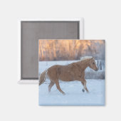Pferdefahrt im Winter auf der Hideout Ranch Magnet (Vorderseite/Rückseite)