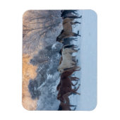 Pferdefahrt im Winter auf der Hideout Ranch Magnet (Vertikal)