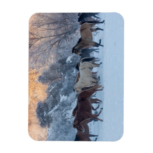 Pferdefahrt im Winter auf der Hideout Ranch Magnet (Vertikal)