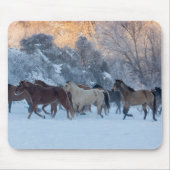 Pferdefahrt im Winter auf der Hideout Ranch Mousepad (Vorne)