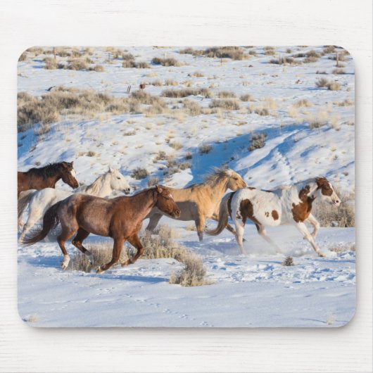 Pferdefahrt im Winter auf der Hideout Ranch Mousepad (Vorne)