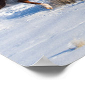 Pferdefahrt im Winter auf der Hideout Ranch Poster (Ecke)