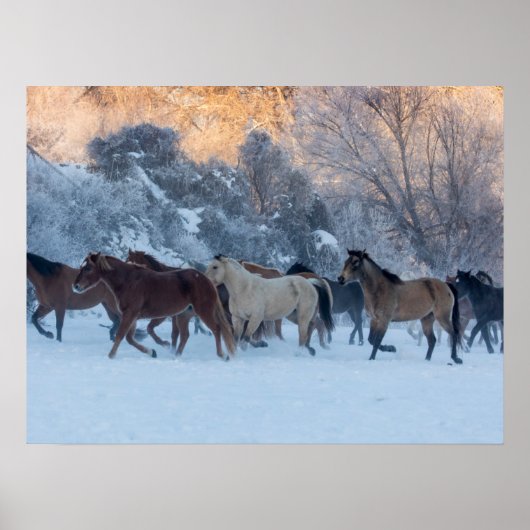 Pferdefahrt im Winter auf der Hideout Ranch Poster (Vorne)