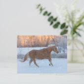 Pferdefahrt im Winter auf der Hideout Ranch Postkarte (Stehend Vorderseite)