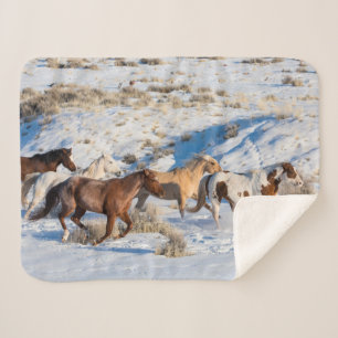Pferdefahrt im Winter auf der Hideout Ranch Sherpadecke
