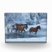 Pferdefahrt im Winter Fotoblock (Vorderseite)