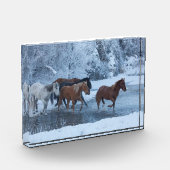 Pferdefahrt im Winter Fotoblock (Links)