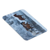 Pferdefahrt im Winter Magnet (Rechte Seite)