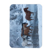 Pferdefahrt im Winter Magnet (Vertikal)