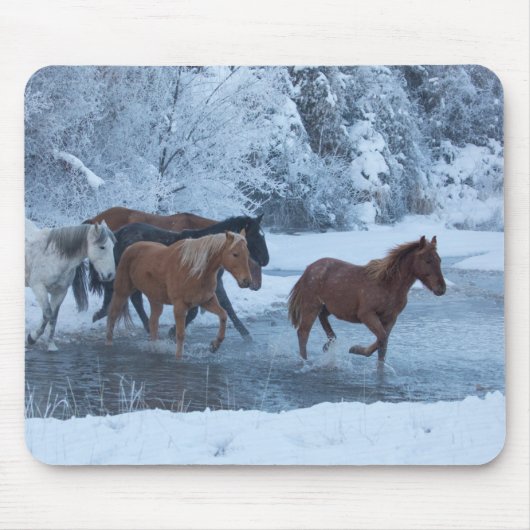 Pferdefahrt im Winter Mousepad (Vorne)