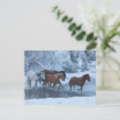 Pferdefahrt im Winter Postkarte (Stehend Vorderseite)