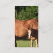 PferdeFamilienunternehmen-Karten Visitenkarte (Rückseite)