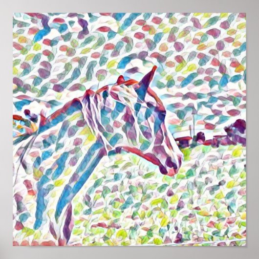 Pferdefarben, Plakat (Vorne)