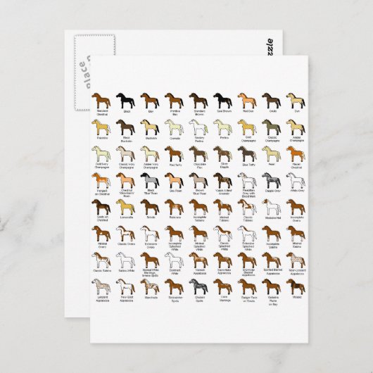 Pferdefarben Postkarte (Vorne/Hinten)