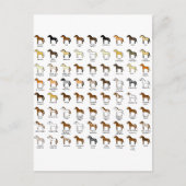 Pferdefarben Postkarte (Vorderseite)