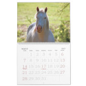 Pferdefarm Bright Lebhafter farbenfroher Kalender (Mär 2027)