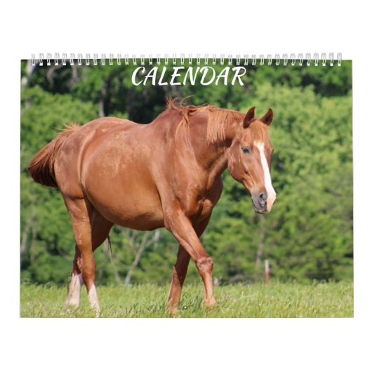 Pferdefarm Bright Lebhafter farbenfroher Kalender (Titelbild)