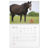 Pferdefarm Bright Lebhafter farbenfroher Kalender (Feb 2027)