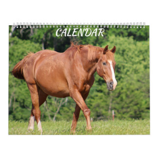 Pferdefarm Bright Lebhafter farbenfroher Kalender