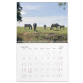 Pferdefarm Bright Lebhafter farbenfroher Kalender (Jan 2026)