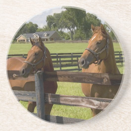 Pferdefarm in Marion Landkreis, Getränkeuntersetzer (Vorne)