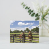 Pferdefarm in Marion Landkreis, Postkarte (Stehend Vorderseite)