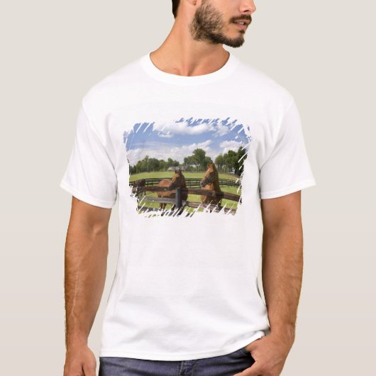 Pferdefarm in Marion Landkreis, T-Shirt (Vorderseite)