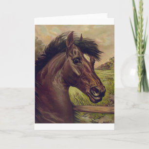 Pferdefarm Ranch Reitsport Western Pferdetier Karte