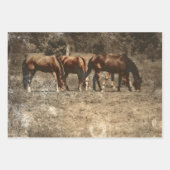Pferdefarm Vintag Land Rustikaler Western Geschenkpapier Set (Vorderseite 3)