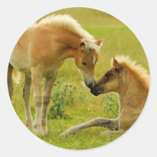 Pferdefoals Runder Aufkleber