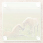 Pferdefohlen Glasuntersetzer (Rückseite)